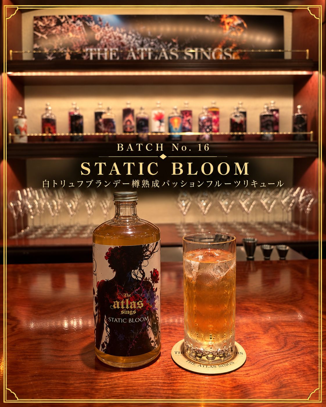 BATCH No. 16 STATIC BLOOM